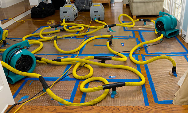 Professional Crawl Space Water Removal technician working in Meadow, UT